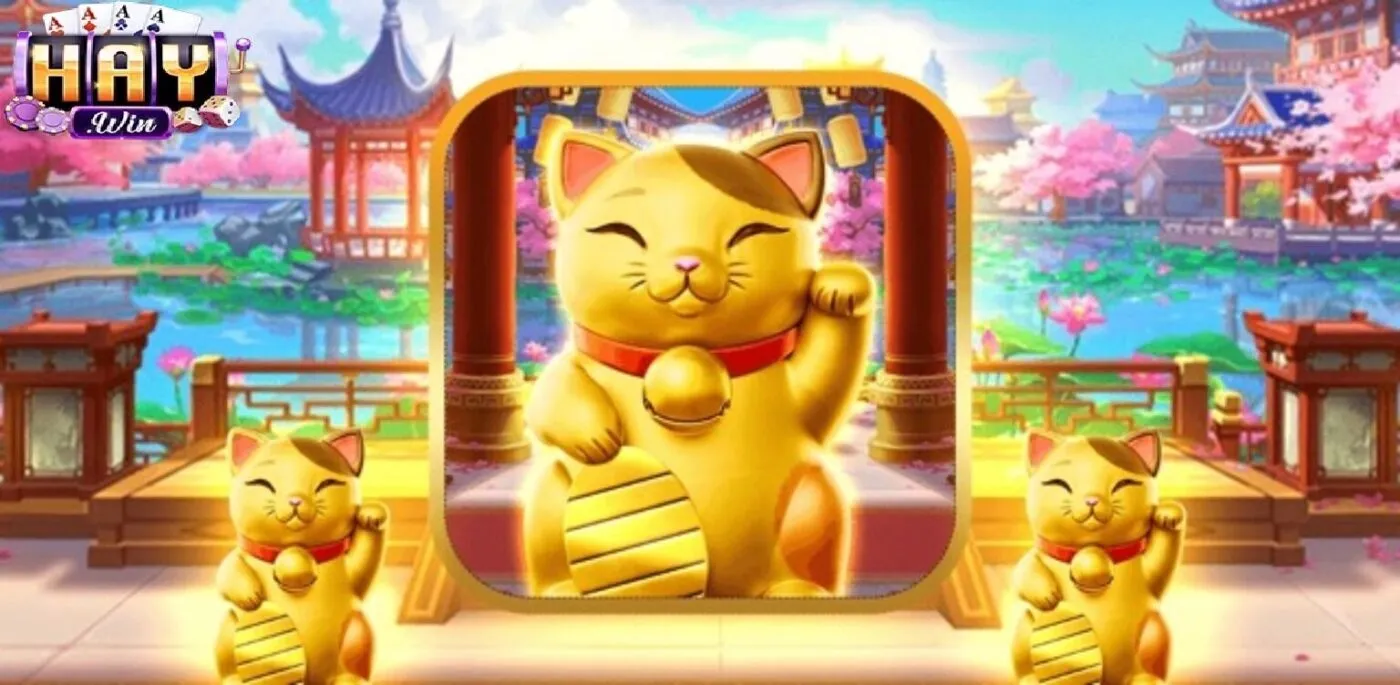 Những Điều Cần Lưu Ý Khi Chơi