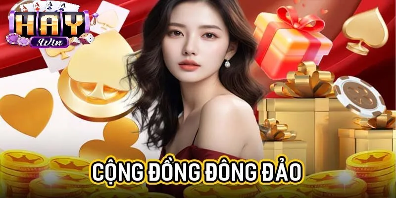 Thông tin về tác giả Haywin
